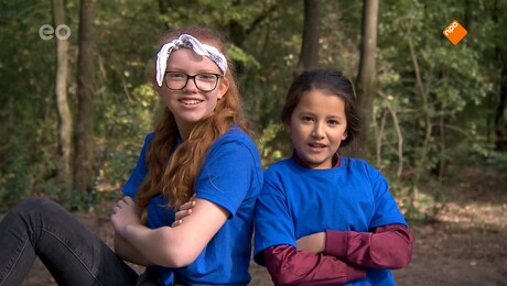 De Boomhut Battle | De mooiste boomhut